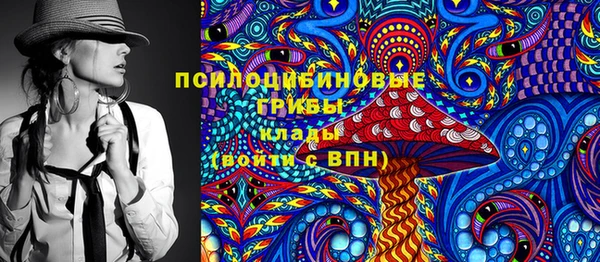 гидра Протвино
