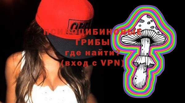 a pvp Абаза
