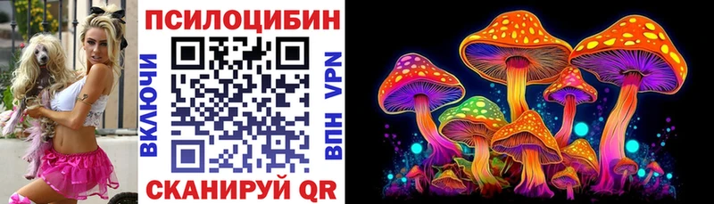 Галлюциногенные грибы Psilocybine cubensis  Кизилюрт 